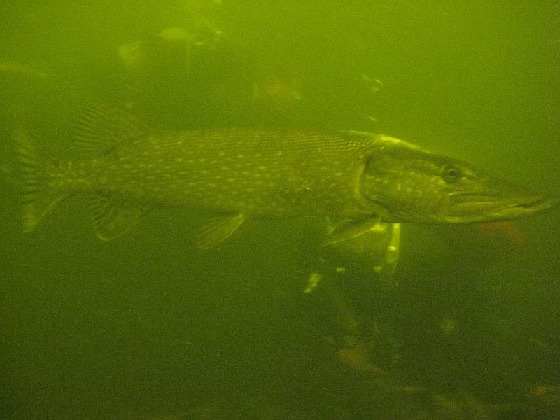 2009-08-01 14-04-06S.JPG